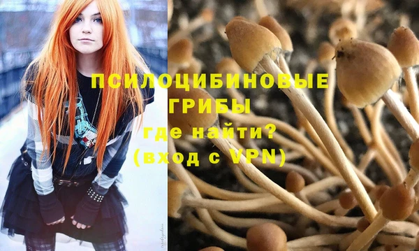 спайс Ладушкин