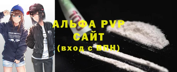стафф Лабытнанги