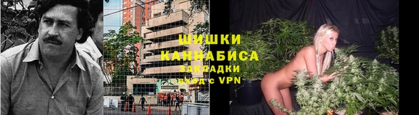 стафф Лабытнанги