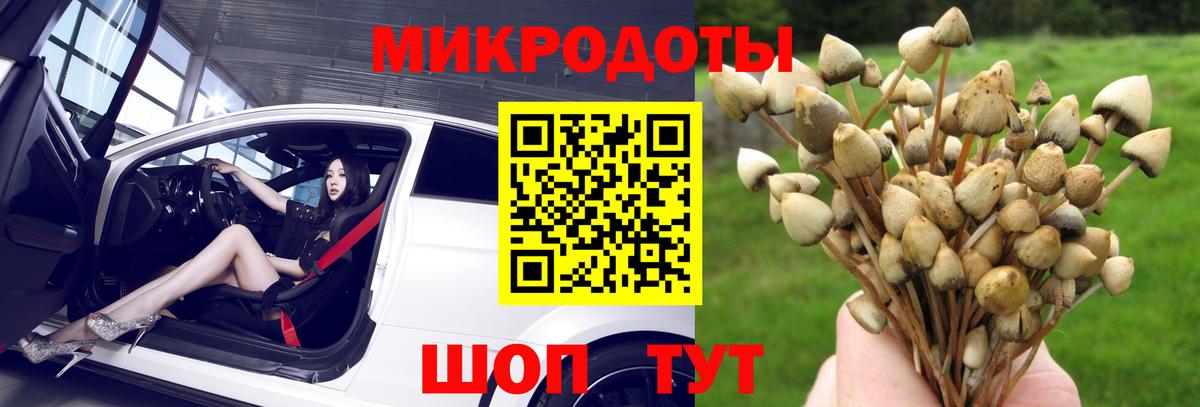 Псилоцибиновые грибы Psilocybine cubensis  где найти наркотики  Лосино-Петровский 