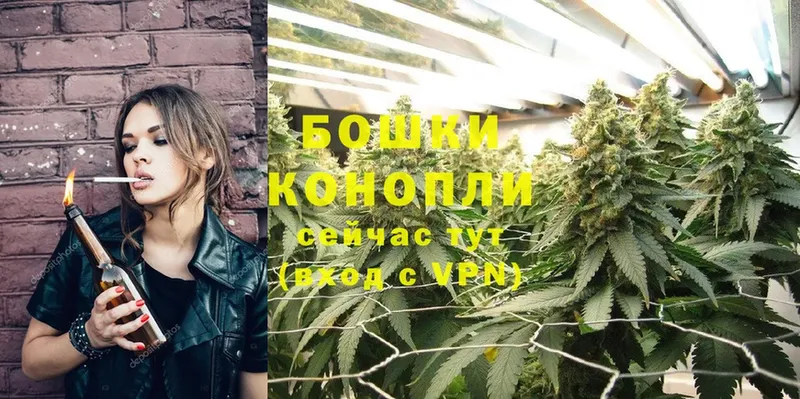 Бошки марихуана OG Kush  Лосино-Петровский 