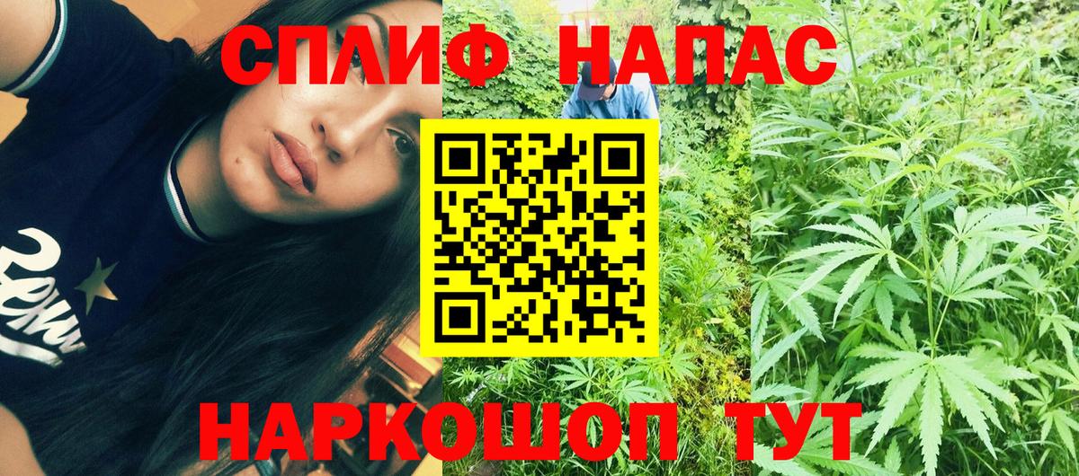 Шишки марихуана марихуана Лосино-Петровский